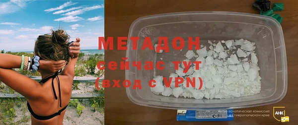 прущие грибы Аркадак