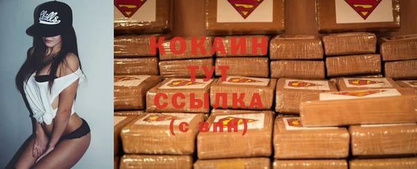 прущие грибы Аркадак