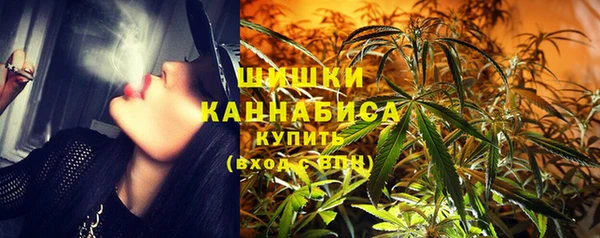прущие грибы Аркадак
