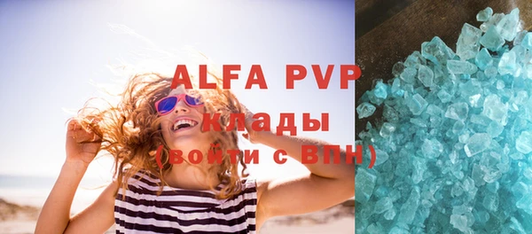 прущие грибы Аркадак
