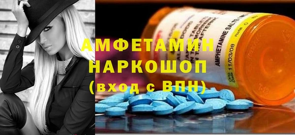 прущие грибы Аркадак
