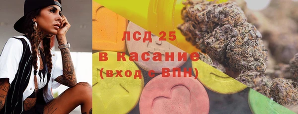 прущие грибы Аркадак