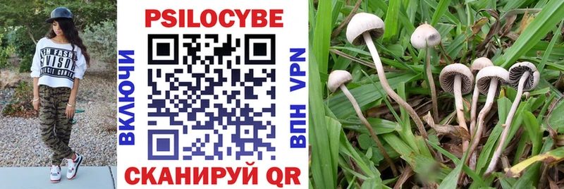 Псилоцибиновые грибы мицелий  Приморск 